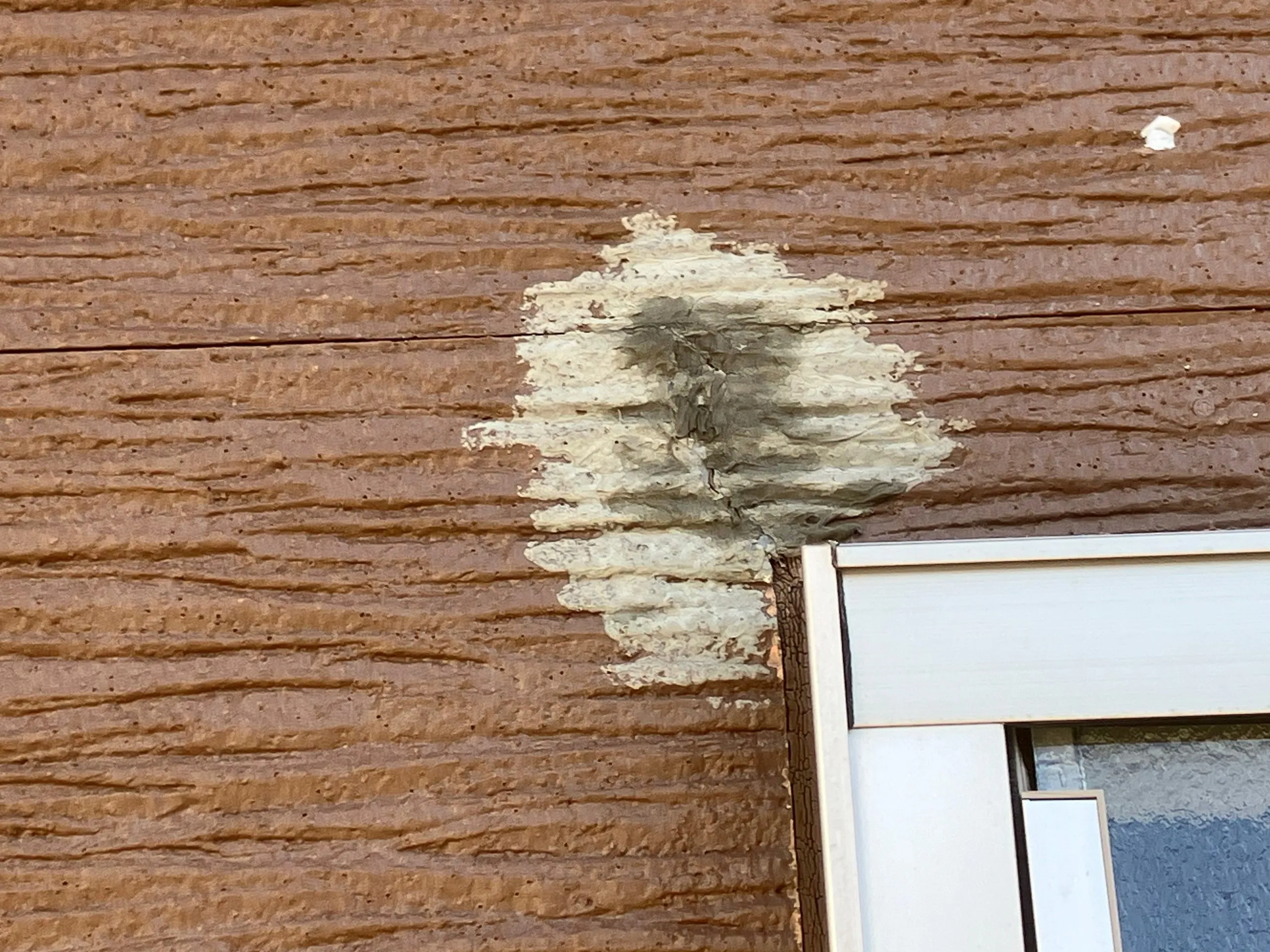 
  佐賀県伊万里市の外壁・屋根塗装 施工事例 F 様
 