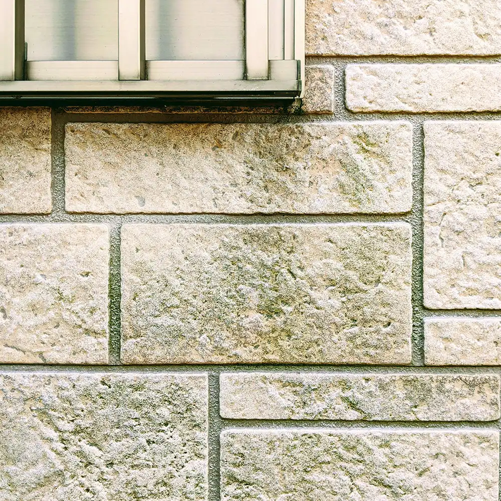 落ちない汚れやコケ、カビ