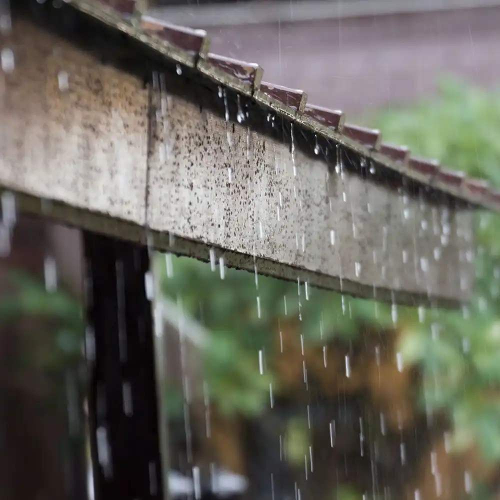 梅雨・台風時の雨漏り