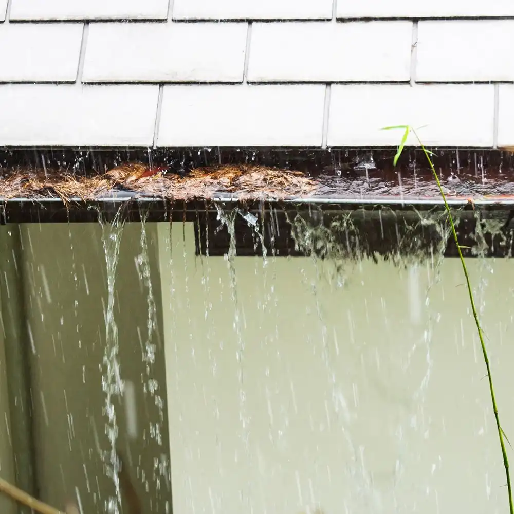 雨樋の状態が気になる